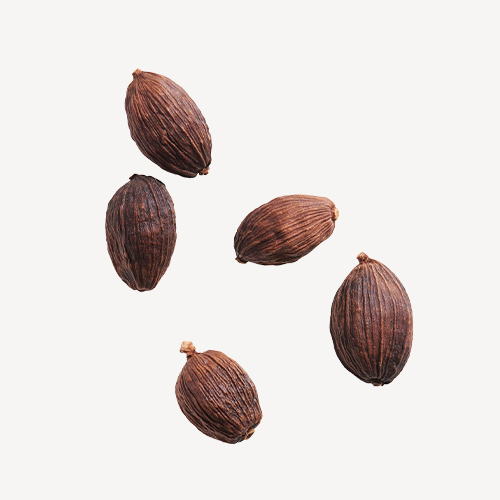 Cardamomo